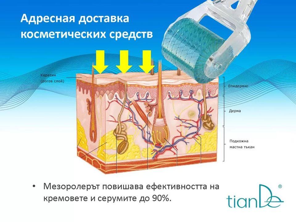 Мезоролер - масажен валяк - Image 5